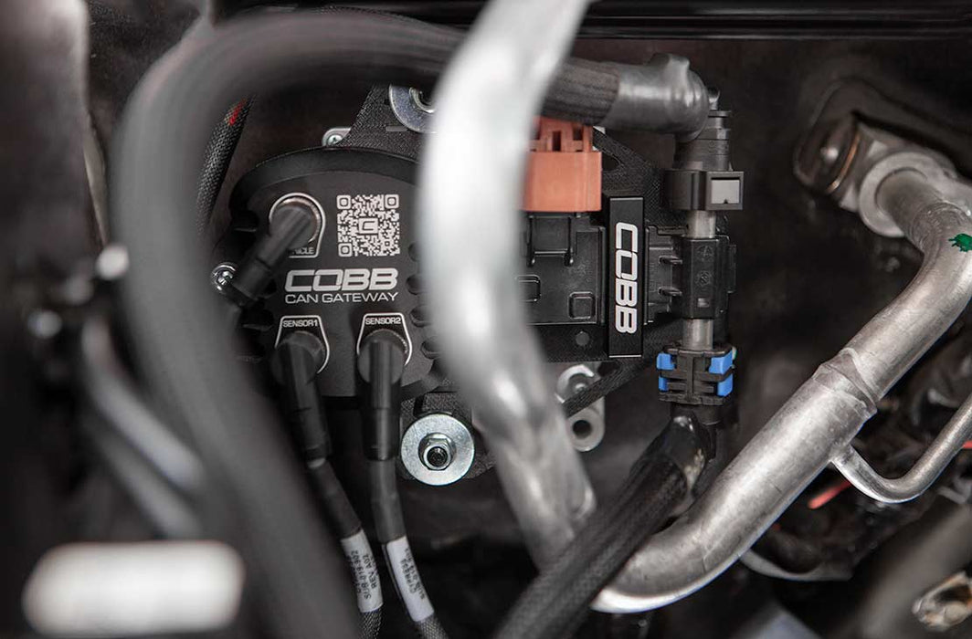 Cobb Stage 1 + CAN Flex Fuel Power Package 2023-2025 Ascent / Outback XT/Wilderness / Legacy XT/Sport