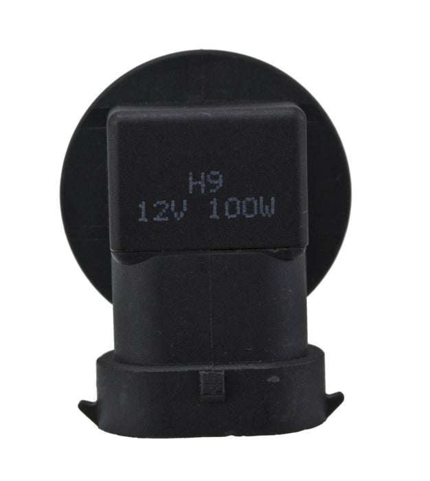 Photo - Close Up