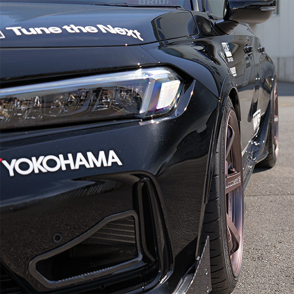 HKS Fender Molding FL5